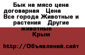 Бык на мясо цена договарная › Цена ­ 300 - Все города Животные и растения » Другие животные   . Крым